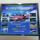 금강해양