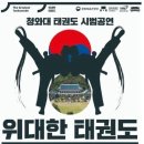 대한민국 태극시범단 이미지