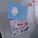 [mmmmm_studio] 이고미 웰컴 굿즈 키트 (오프린트미)