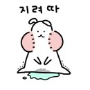 스테이호스텔 이미지