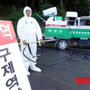 의성4농장 이미지
