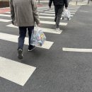 엽기뽑기 | 33살의 2026년 2월 나머지 ( : 아직도 미친 두쫀쿠 • 인천맛집추천이이 가득한~)