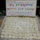 떡꼬마 Daum카페