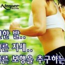 알즈너