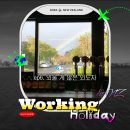 소로(국) 2-6-1 | 뉴질랜드 워홀 카페 출근 오클랜드 털보네 순대국 후기| 워홀일기 #6