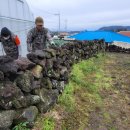 제주돌담 이미지