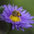 조형물1 이미지