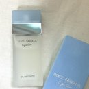 [향수] 푸름을 거머쥔 여름 향수 &#39;돌체앤가바나 라이트블루&#39; 시향 후기🌊