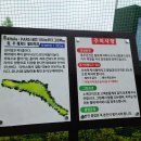 무적게임방 이미지