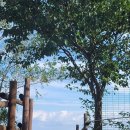 걷고 싶은 누리길 이미지