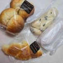 침착하고느린손