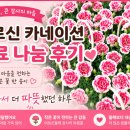 나눔바이오 | 어르신 카네이션 무료 나눔 후기 | 함께라서 더 따뜻했던 하루