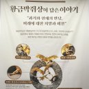 함평나비(광주) | 황금박쥐보다 빛났던 김경호, 2025 함평 나비축제 다녀온 후기