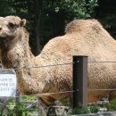 CU편의점(인천선학점) 이미지