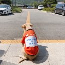 금마면행정복지센터 이미지