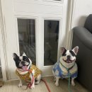 도기다이닝 이미지