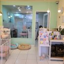 뽀숑뽀숑 이미지