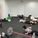 팀에이팩스 이미지