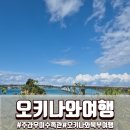 자연수족관 - 영천시 호국로 15 | 오키나와 3일차 코스 츄라우미 수족관 후기 코우리대교 아구 돈카츠까지 하루 정리