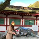텐탑하우스 | 🇯🇵후쿠오카 여행 후기 - 먹고, 보고, 즐기고! 완벽한 3박 4일 일정
