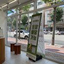 양을로 42 이미지