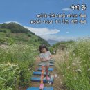 카페톨 - 남원시 동헌길 94 | [남해] 다랭이마을 바다뷰 레전드 맛집 카페톨 아이와 방문 후기 (전기차충전소)