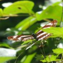 맑은물소리 이미지