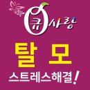 큐사랑전문샵