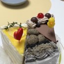 밀린 일상 몰아 올려보자아악