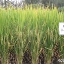 영우축산 이미지