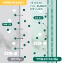 더펫츠 이미지