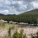 게으른 반달 이미지