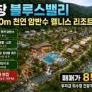 용평알펜시아공인중개사사무소 | 천연 암반수 대한민국 대표 웰니스 관광개발 프로젝트! 캠핑, 글램핑, 스파, 프리미엄 생수사업( 기업...