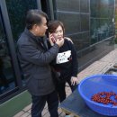 치악금대별장 이미지