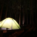 서귀포자연휴양림야영장 이미지