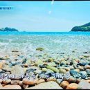 남해36.5