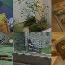 오밀쪼밀