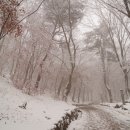 석수반점