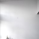 린플라워 이미지