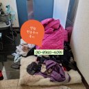 북면007 | 창원 헌옷 수거 후기, 혼자하기 힘든 정리 해결하기