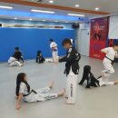 석사 경희대 효 태권도 | 보문동태권도 맞춤 지도를 잘 해주는 석사경희대효태권도