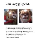 성모자애병원