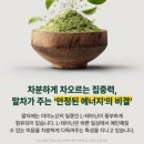 그린브레스
