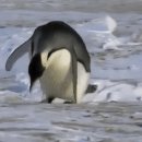 글루호텔 이미지