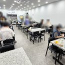 비비바라 이미지