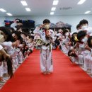 라이온태권도장 이미지