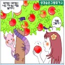 숨은그림찾기 이미지