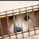 대구동물약국 이미지