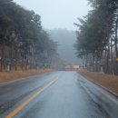 도계소공원(2) 이미지