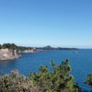 소남머리 이미지